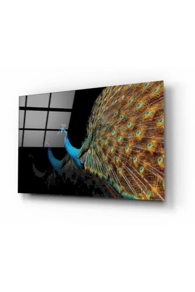 Tavus Kuşu Dekoratif ve Modern Cam Tablo ürün görseli 1