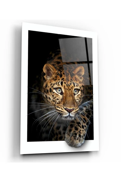 Leopar Dekoratif ve Modern Cam Tablo