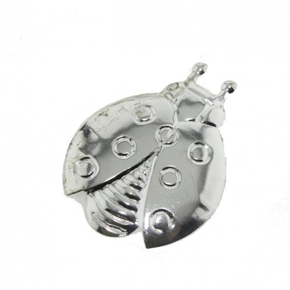 20 Adet 3x4cm Metal Uğur Böceği - 2