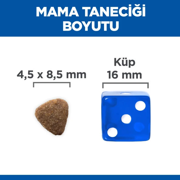 Hills Kitten Ton Balıklı Yavru Kedi Maması 7 Kg - 4