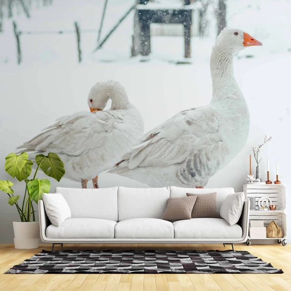 Kar ve Kaz Manzaralı Duvar Kağıdı - Resim 8