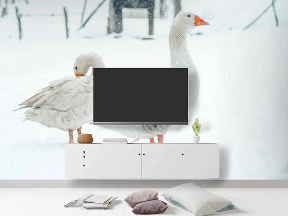 Kar ve Kaz Manzaralı Duvar Kağıdı - Resim 4