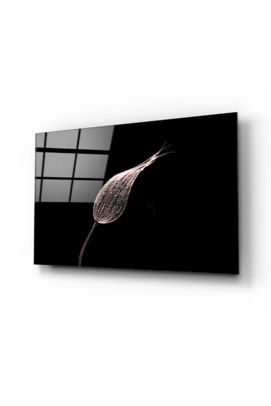 Tüy Dekoratif ve Modern Cam Tablo ürün görseli
