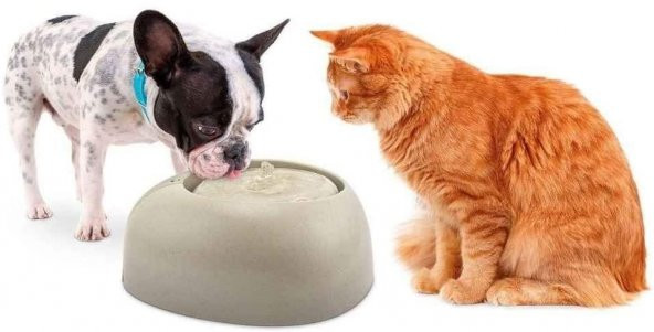 Imac Pet Fountain Kedi ve Köpekler için Otomatik su Kabı 2lt - Gri