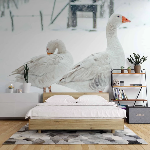 Kar ve Kaz Manzaralı Duvar Kağıdı - Resim 9