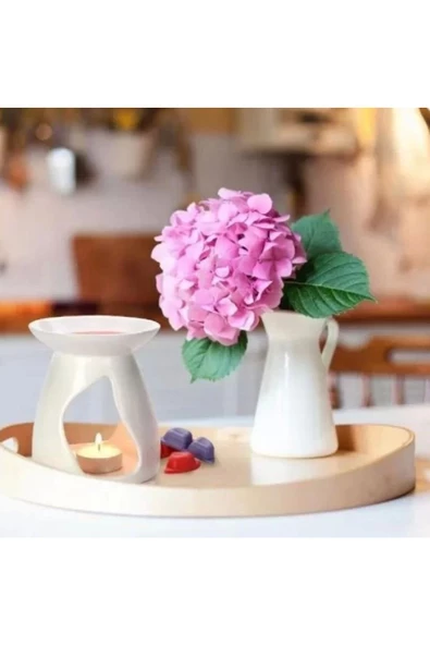 Yenigeldi Bispol Beyaz Çiçek Kokulu Wax Melts Buhurdanlık Kokusu Oda Kokusu - 2