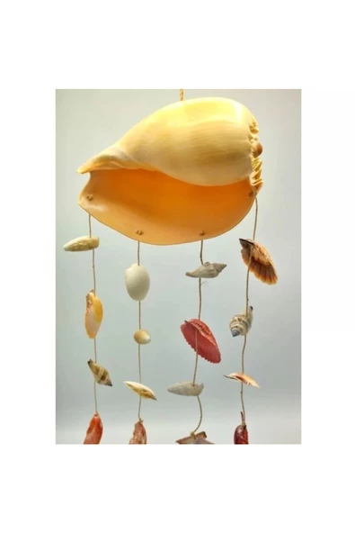 Yenigeldi Şans Melosu Fısıldayan Melo - 2