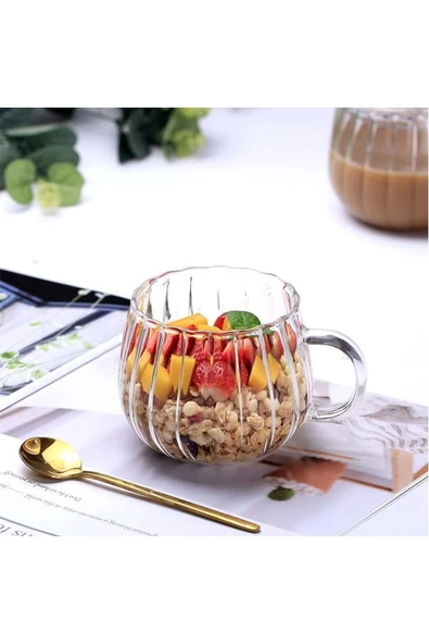 Yenigeldi 1 Adet Isıya Dayanıklı Borosilikat Termisil Kupa Çizgi Tasarımlı Cam Bardak Kahve Sunum Bardağı 350