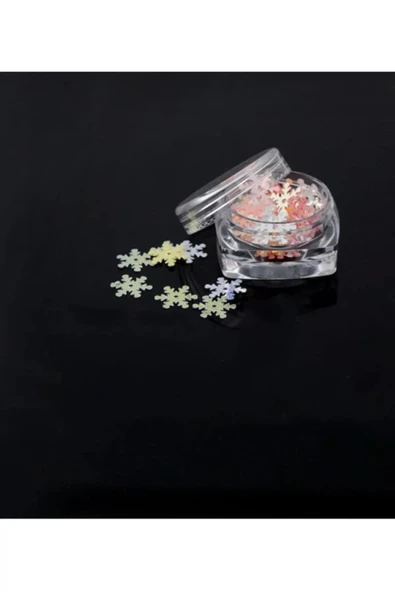 Free Shop 12 Li Mini Saklama Kutusu Boya Kutusu Boncuk Kutusu Pul Kutusu Küpe Kutusu Akrilik Organizer - 3