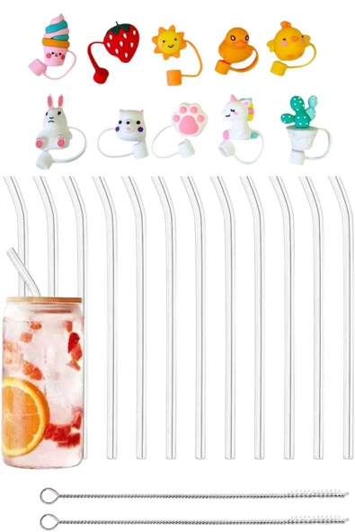 Yenigeldi (1 ADET PİPET TIPASI) 12 Adet Yeniden Kullanılabilir Cam Pipet Ve 2 Temizleme Fırçası