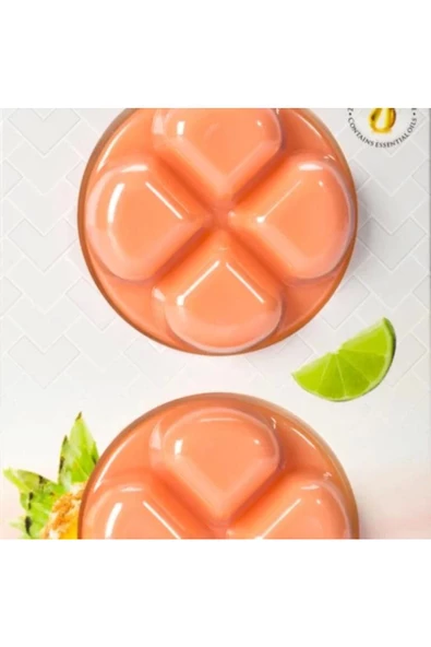 Yenigeldi Bispol Tropik Meyve Kokulu Wax Melts Buhurdanlık Kokusu Oda Kokusu