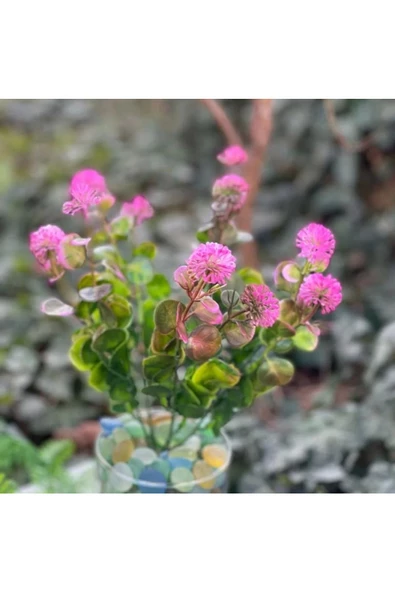 Yenigeldi Yapay Çiçek, Masa Dekorasyon Çiçek, Ev Ofis Bitki