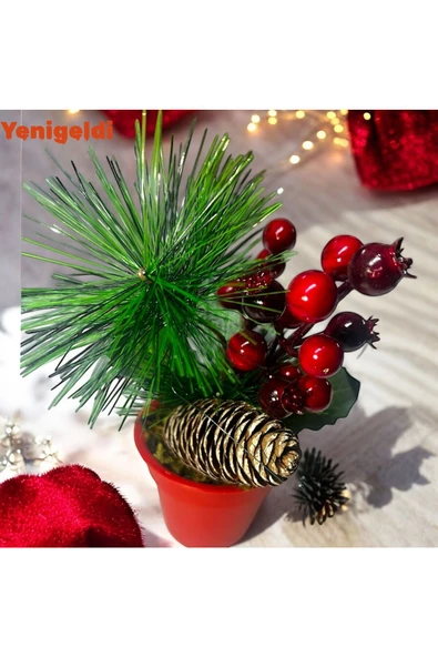 Yenigeldi 2 Adet Kozalaklı Saksılı Kokina Red berry - 2