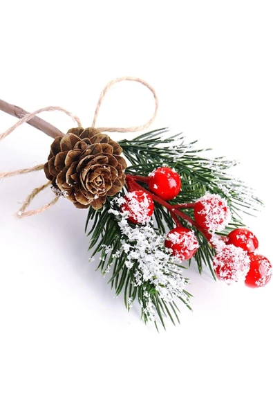 Yenigeldi 2Adet Kozalaklı Kokina Yılbaşı Süsü ürün görseli 1