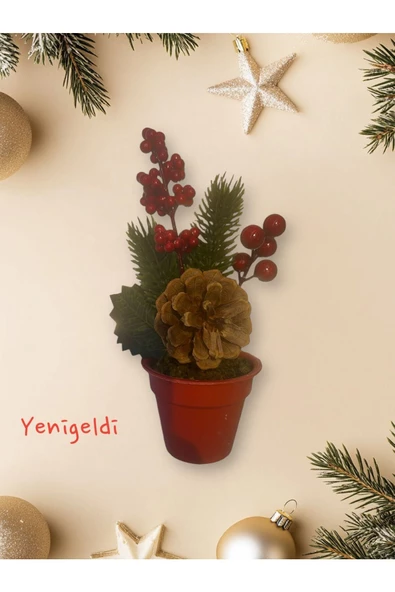 Yenigeldi 1 Adet Kozalaklı Saksılı Kokina Red berry - Resim 3