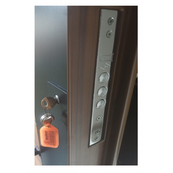 TEZ-1550 Siyah Statik Kasalı Antrasit Düz Model Daire Kapısı, Çelik Kapı, Villa Kapısı - 2