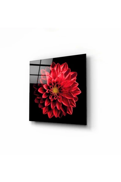 Çiçek Dekoratif ve Modern Cam Tablo 50 x 50 cm