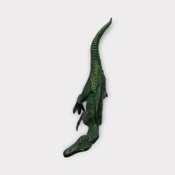 Spinosaurus Dinazor 15 Cm - Q603-9 - 4