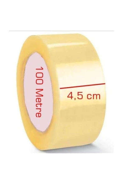 UYSAL Koli Banti 100 m Hbv000003ıdle