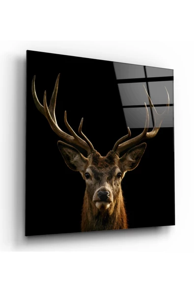 Geyik Dekoratif ve Modern Cam Tablo ürün görseli