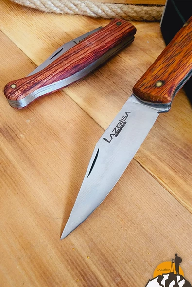Ceviz Sap Çakı Kamp Çakısı Outdoor Piknik Çakısı Bahçe Çakısı Mutfak Bıçak Bıçağı (YN850) - 2