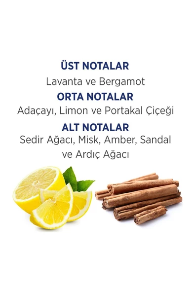 FİRST CLASS KOFRE - EDT 100 ML + DEODORANT 150 ML - 3