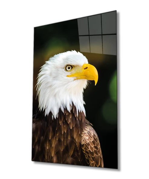 Kartal Hayvan Portresi Dekoratif ve Modern Cam Tablo Ev ve Ofis Duvar Dekoru ürün görseli