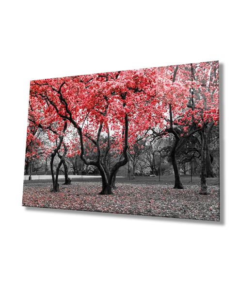 Kırmızı Ağaçlar Doğa Dekoratif ve Modern Cam Tablo Ev ve Ofis Duvar Dekoru ürün görseli 1