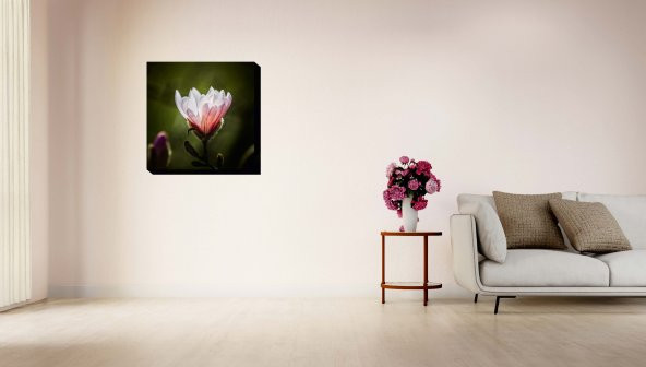 Pembe Çiçek Fotoğrafı Modern Canvas Tablo Kanvas - 1