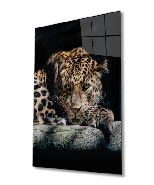 Kaplan Hayvan Portresi Dekoratif ve Modern Cam Tablo Ev ve Ofis Duvar Dekoru ürün görseli 1