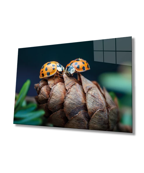 Uğur Böceği ve Yaprak Dekoratif ve Modern Cam Tablo Ev ve Ofis Duvar Dekoru ürün görseli