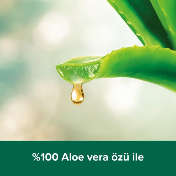 Palmolive Spa Therapy Clay Detox Kil Duş Jeli 500 Ml - 3