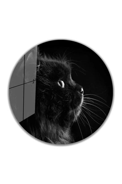 Kedi Yuvarlak Dekoratif ve Modern Cam Tablo 4mm Dayanıklı Temperli Cam