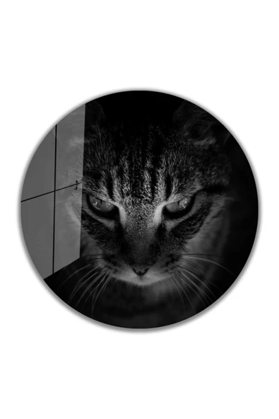 Kedi Yuvarlak Dekoratif ve Modern Cam Tablo 4mm Dayanıklı Temperli Cam ürün görseli 1