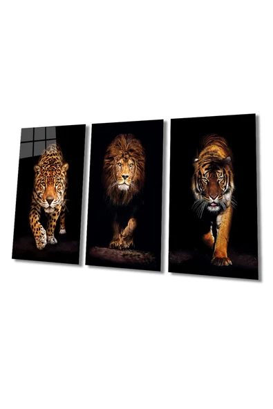 Aslan,kaplan,jaguar 3 Lü Set (TOPLAM ÖLÇÜ 210X110 CM) Cam Tablo ürün görseli