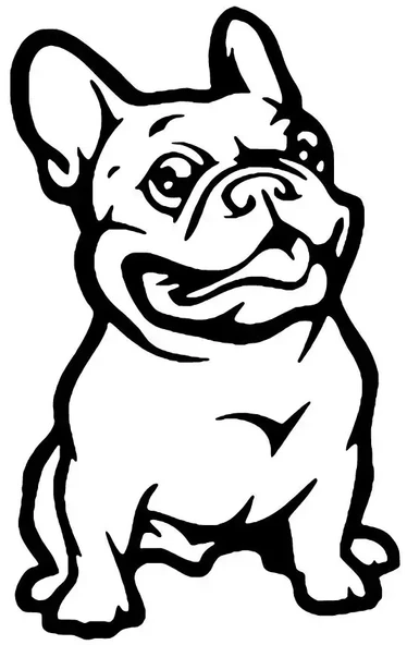 Sevimli Bulldog Sticker 40 x 64 cm