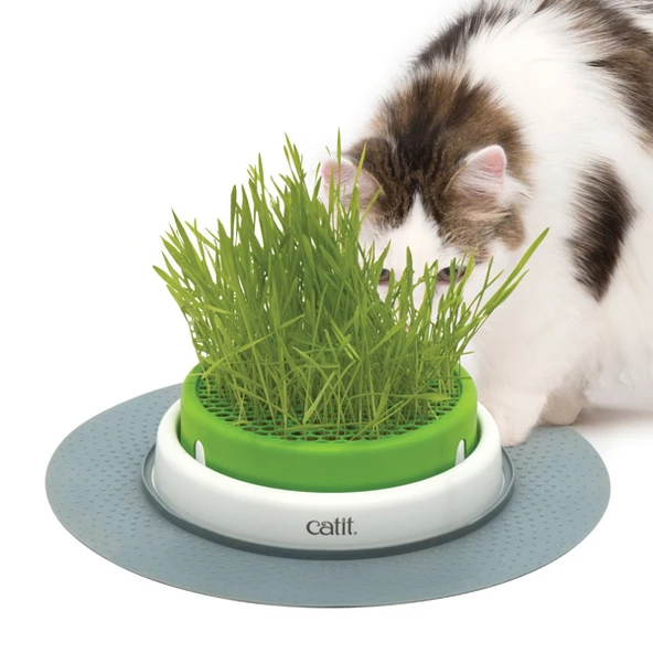 Catit Senses 2.0 Grass Planter Kedi Çimi Seti - Resim 3