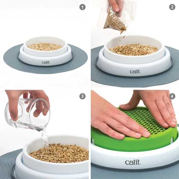 Catit Senses 2.0 Grass Planter Kedi Çimi Seti - Resim 5