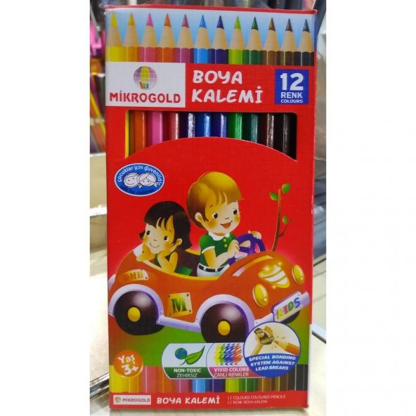 Mikrogold 12 Renk Tam Boy Kuru Boya kalemi
