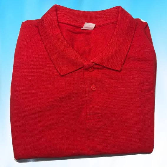 UZUN KOLLU LAKOS YAKALI TİŞÖRT - 3