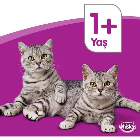 Whiskas Whıskas® Sığırlı (Biftekli) Kuru Kedi Maması 1+ Yaş 300 Gram (14 Adet) - 2
