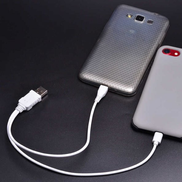 Zore 2 İN 1 Kısa Kablo İphone Şarj-Micro Usb Kablo - 3