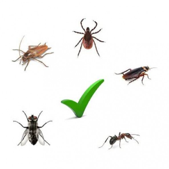 Filit Hamamböceği Yemi Hamamböceklerinde Kesin Etkili Hamamböceği Yemi Hamamböceği İlacı Böcek İlacı - 2