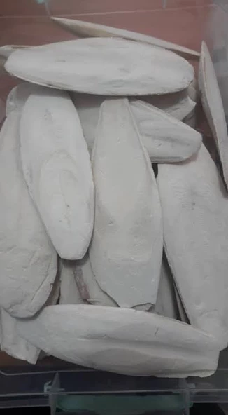 Kalamar kemiği 15-20 cm - 2