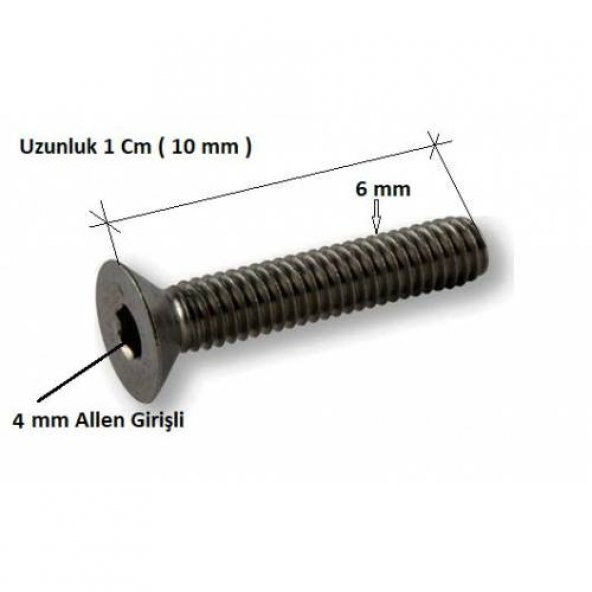 Havşa Başlı İmbus Civata 6MX10mm 10 Adet - 2