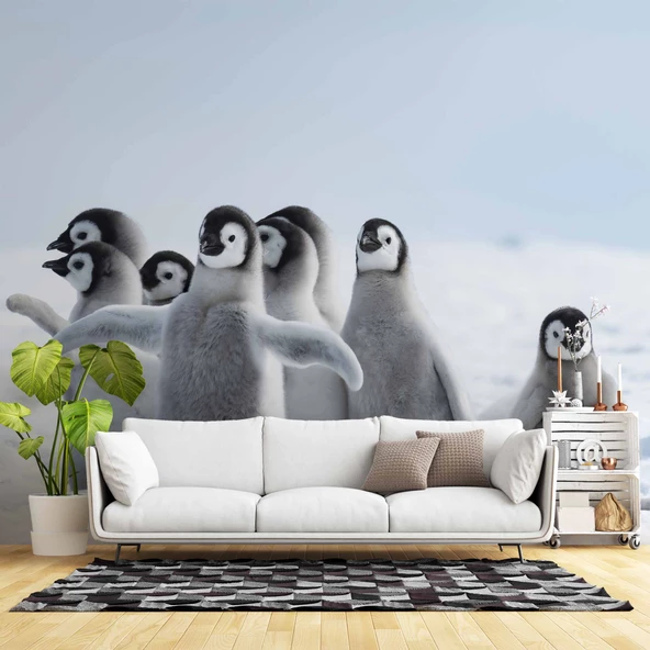 Kutuplar ve Yavru Penguen Manzaralı Duvar Kağıdı