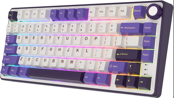 Royal Kludge R75 75% Kablolu US Gaming Klavye (Beyaz-Mor) - 7