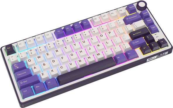 Royal Kludge R75 75% Kablolu US Gaming Klavye (Beyaz-Mor) - 5