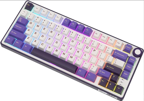 Royal Kludge R75 75% Kablolu US Gaming Klavye (Beyaz-Mor) - 2