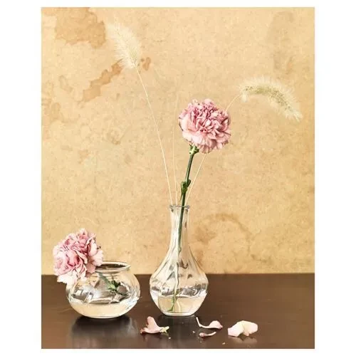 SUMUHOME PADVILJE CAM VAZO SAYDAM 2'Lİ 17CM - 11